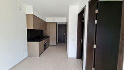 Park Colonial (D13), Condominium #563901241
